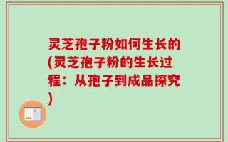 灵芝孢子粉如何生长的(灵芝孢子粉的生长过程：从孢子到成品探究)