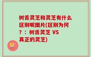 树舌灵芝和灵芝有什么区别呢图片(区别为何？：树舌灵芝 VS 真正的灵芝)