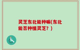 灵芝东北能种嘛(东北能否种植灵芝？)