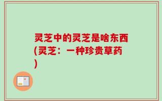 灵芝中的灵芝是啥东西(灵芝：一种珍贵草药)