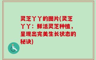 灵芝丫丫的图片(灵芝丫丫：鲜活灵芝种植，呈现出完美生长状态的秘诀)