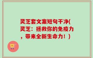 灵芝套文案短句干净(灵芝：拯救你的免疫力，带来全新生命力！)