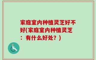 家庭室内种植灵芝好不好(家庭室内种植灵芝：有什么好处？)