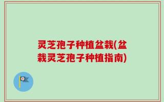 灵芝孢子种植盆栽(盆栽灵芝孢子种植指南)
