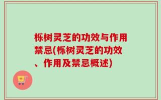 栎树灵芝的功效与作用禁忌(栎树灵芝的功效、作用及禁忌概述)