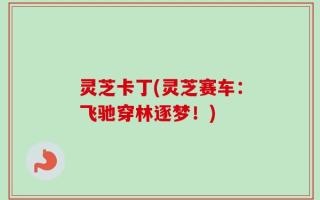 灵芝卡丁(灵芝赛车：飞驰穿林逐梦！)