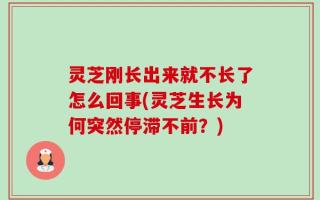 灵芝刚长出来就不长了怎么回事(灵芝生长为何突然停滞不前？)