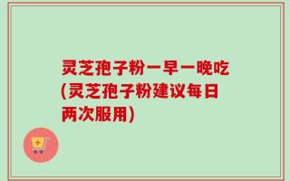 灵芝孢子粉一早一晚吃(灵芝孢子粉建议每日两次服用)