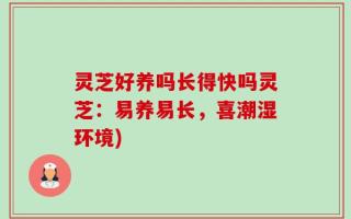 灵芝好养吗长得快吗灵芝：易养易长，喜潮湿环境)
