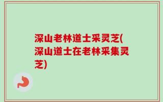 深山老林道士采灵芝(深山道士在老林采集灵芝)