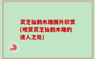灵芝仙鹤木雕图片欣赏(观赏灵芝仙鹤木雕的迷人之处)