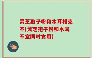 灵芝孢子粉和木耳相克不(灵芝孢子粉和木耳不宜同时食用)