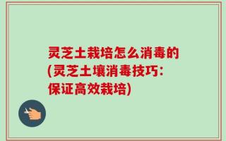 灵芝土栽培怎么消毒的(灵芝土壤消毒技巧：保证高效栽培)