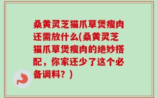 桑黄灵芝猫爪草煲瘦肉还需放什么(桑黄灵芝猫爪草煲瘦肉的绝妙搭配，你家还少了这个必备调料？)