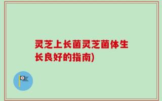 灵芝上长菌灵芝菌体生长良好的指南)