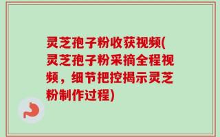 灵芝孢子粉收获视频(灵芝孢子粉采摘全程视频，细节把控揭示灵芝粉制作过程)