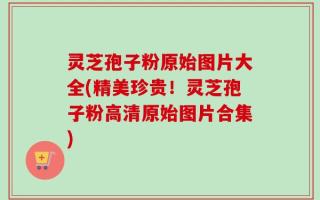 灵芝孢子粉原始图片大全(精美珍贵！灵芝孢子粉高清原始图片合集)