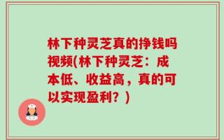 林下种灵芝真的挣钱吗视频(林下种灵芝：成本低、收益高，真的可以实现盈利？)