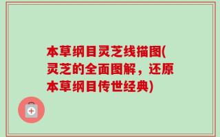 本草纲目灵芝线描图(灵芝的全面图解，还原本草纲目传世经典)