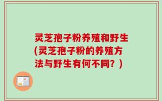 灵芝孢子粉养殖和野生(灵芝孢子粉的养殖方法与野生有何不同？)