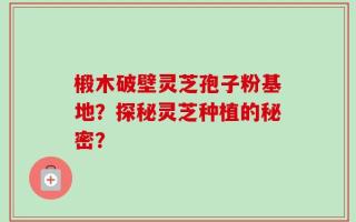 椴木破壁灵芝孢子粉基地？探秘灵芝种植的秘密？