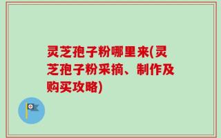 灵芝孢子粉哪里来(灵芝孢子粉采摘、制作及购买攻略)