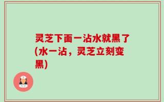 灵芝下面一沾水就黑了(水一沾，灵芝立刻变黑)