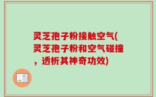 灵芝孢子粉接触空气(灵芝孢子粉和空气碰撞，透析其神奇功效)