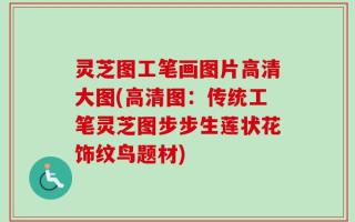 灵芝图工笔画图片高清大图(高清图：传统工笔灵芝图步步生莲状花饰纹鸟题材)