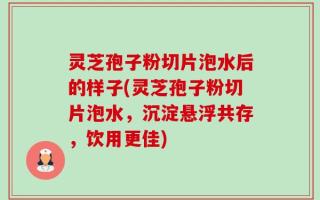 灵芝孢子粉切片泡水后的样子(灵芝孢子粉切片泡水，沉淀悬浮共存，饮用更佳)