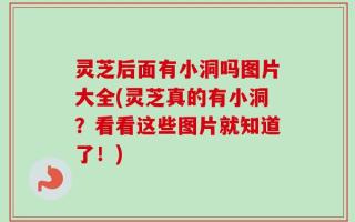 灵芝后面有小洞吗图片大全(灵芝真的有小洞？看看这些图片就知道了！)
