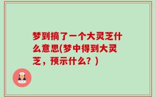 梦到摘了一个大灵芝什么意思(梦中得到大灵芝，预示什么？)