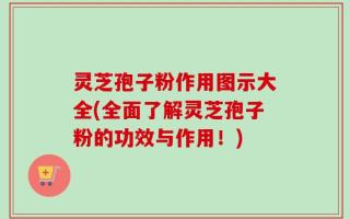 灵芝孢子粉作用图示大全(全面了解灵芝孢子粉的功效与作用！)