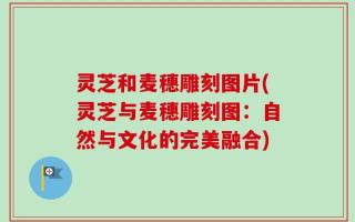 灵芝和麦穗雕刻图片(灵芝与麦穗雕刻图：自然与文化的完美融合)