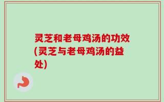 灵芝和老母鸡汤的功效(灵芝与老母鸡汤的益处)