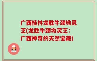 广西桂林龙胜牛颈坳灵芝(龙胜牛颈坳灵芝：广西神奇的天然宝藏)