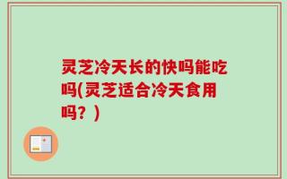 灵芝冷天长的快吗能吃吗(灵芝适合冷天食用吗？)
