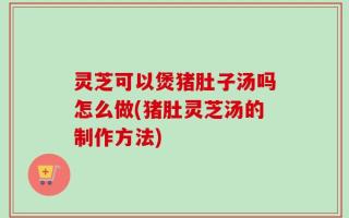 灵芝可以煲猪肚子汤吗怎么做(猪肚灵芝汤的制作方法)