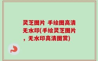 灵芝图片 手绘图高清无水印(手绘灵芝图片，无水印高清图赏)