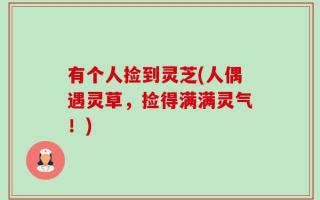 有个人捡到灵芝(人偶遇灵草，捡得满满灵气！)