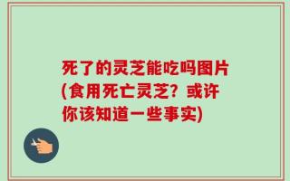 死了的灵芝能吃吗图片(食用死亡灵芝？或许你该知道一些事实)