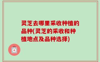 灵芝去哪里采收种植的品种(灵芝的采收和种植地点及品种选择)