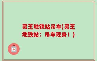 灵芝地铁站吊车(灵芝地铁站：吊车现身！)
