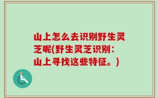 山上怎么去识别野生灵芝呢(野生灵芝识别：山上寻找这些特征。)