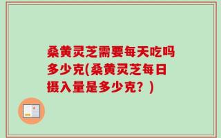 桑黄灵芝需要每天吃吗多少克(桑黄灵芝每日摄入量是多少克？)