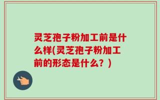 灵芝孢子粉加工前是什么样(灵芝孢子粉加工前的形态是什么？)