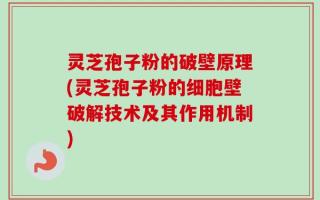 灵芝孢子粉的破壁原理(灵芝孢子粉的细胞壁破解技术及其作用机制)