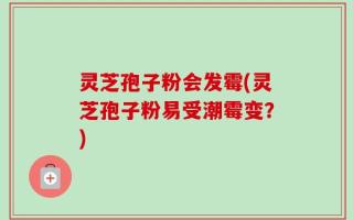 灵芝孢子粉会发霉(灵芝孢子粉易受潮霉变？)