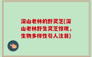 深山老林的野灵芝(深山老林野生灵芝惊现，生物多样性引人注目)