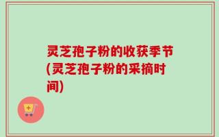 灵芝孢子粉的收获季节(灵芝孢子粉的采摘时间)
